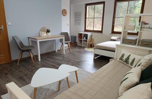 Jachymov Apartamento | Apartmán 29 LANOVKA