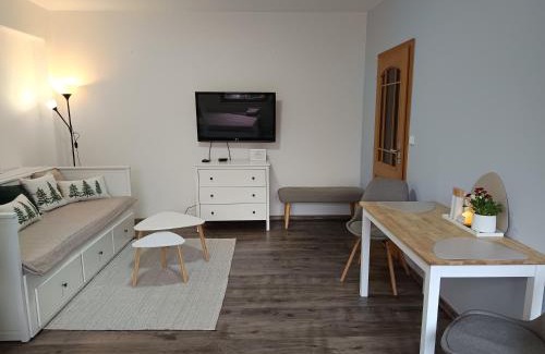 Jachymov Apartamento | Apartmán 29 LANOVKA