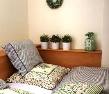 Rokytnice nad Jizerou Apartamento | Apartmán 6 u sjezdovek
