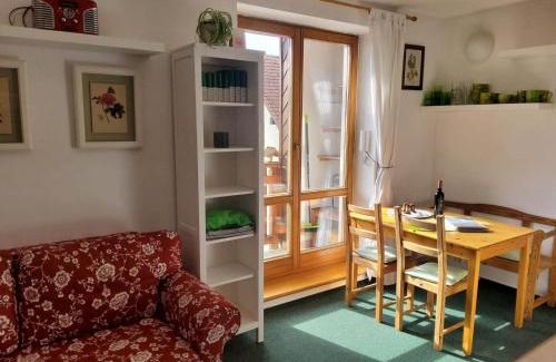 Rokytnice nad Jizerou Apartamento | Apartmán 6 u sjezdovek
