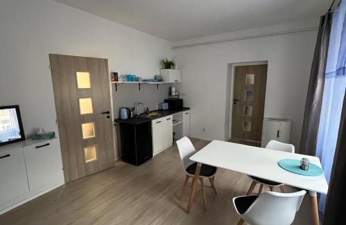 Ceska Lipa Apartamento | Apartmán Centro and meetingroom