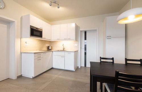 Ricky v Orlickych horach Apartamento | Apartmány Říčky - Hotel Říčky