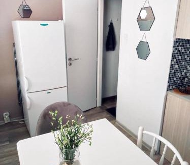 Decin Apartamento | Apartmán Domov Děčín