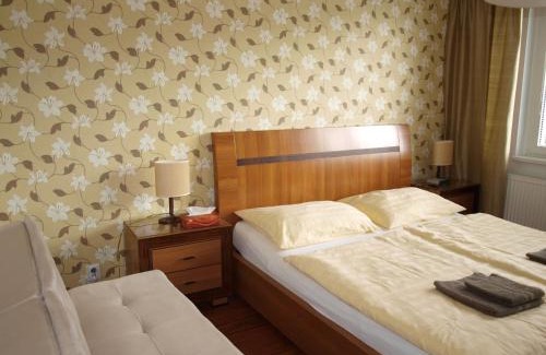 Karlovy Vary Apartamento | Apartmán Drahovice