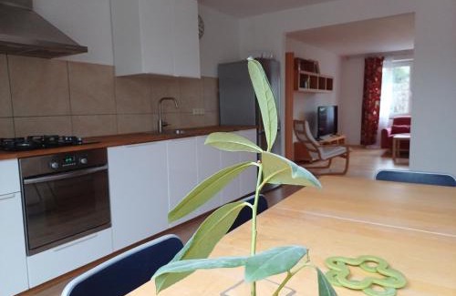 Pribram Casa | Apartmán Dvořák 194 pod Svatou horou