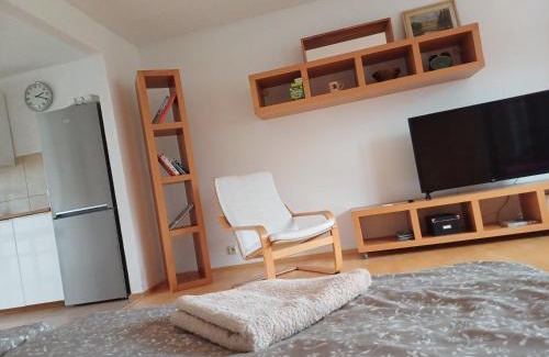 Pribram Casa | Apartmán Dvořák 194 pod Svatou horou