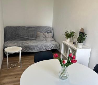 Jihlava Apartamento | Apartmán ERUDITO Královský vršek Jihlava