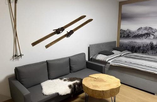 Janske Lazne Apartamento | Apartmán Horálek