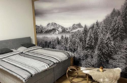 Janske Lazne Apartamento | Apartmán Horálek