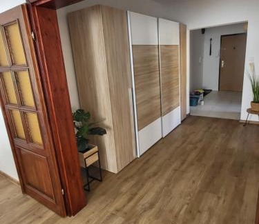 Horni Plana Apartamento | Apartmán Juli