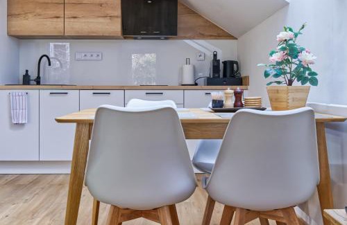 Janske Lazne Apartamento | Apartmán Lyžařská B4 - Protěž