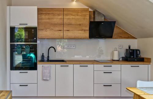 Janske Lazne Apartamento | Apartmán Lyžařská B4 - Protěž