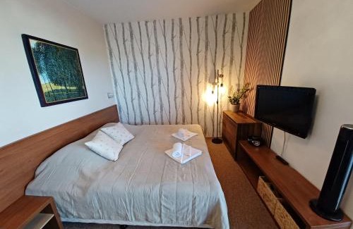 Velka Lomnica Apartamento | Apartmán Mirka - Tatra Mountain Resort G104