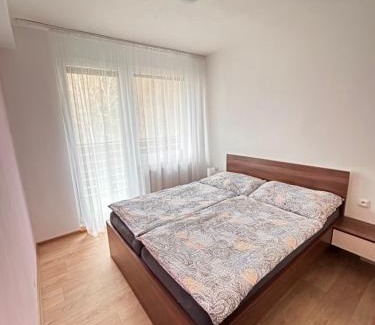 Vsemina Apartamento | Apartmán na kraji lesa Všemina