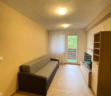 Vsemina Apartamento | Apartmán na kraji lesa Všemina