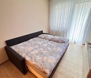 Vsemina Apartamento | Apartmán na kraji lesa Všemina