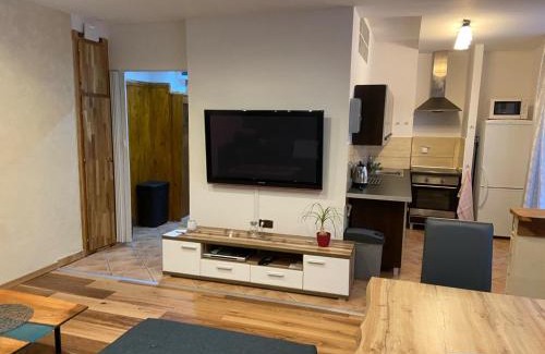 Orlicke Zahori Apartamento | Apartmán Orlické hory