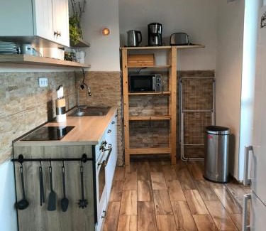 Orlicke Zahori Apartamento | Apartmán Orlické Záhoří