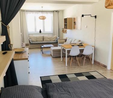 Orlicke Zahori Apartamento | Apartmán Orlické Záhoří