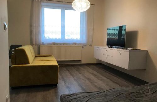 Old Town Plzen Apartamento | apartmán Poděbradka