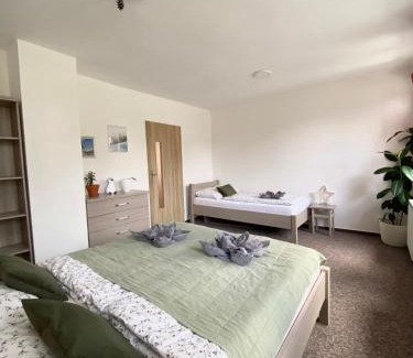Horni Mala Upa Apartamento | Apartmán pod vlekem