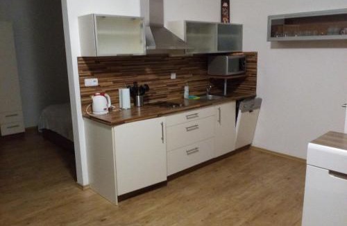 Lipno nad Vltavou Apartamento | Apartmán Relax Lipno