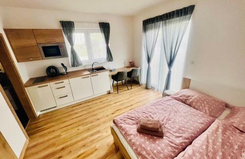 Cerna V Posumavi Apartamento | Apartmán Roda1 Malé Lipno