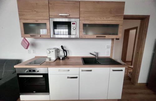 Cerna V Posumavi Apartamento | Apartmán Roda2 Malé Lipno