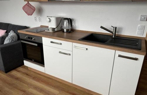 Cerna V Posumavi Apartamento | Apartmán Roda2 Malé Lipno