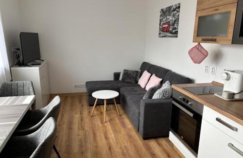 Cerna V Posumavi Apartamento | Apartmán Roda2 Malé Lipno