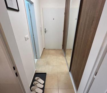 Piestany Apartamento | Apartmán Rose