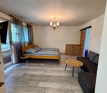 Sedlec Apartamento | Apartmán u Šohaja