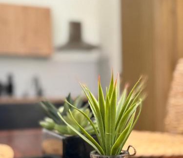 Vlachy Apartamento | Apartmán u Andy