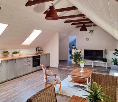 Borotice Apartamento | Apartmán u Stef