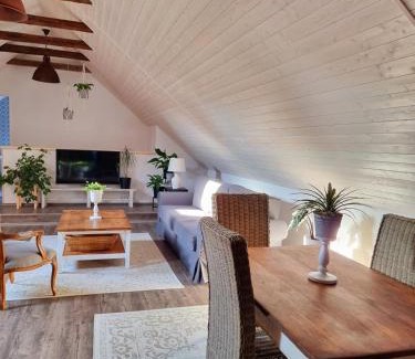 Borotice Apartamento | Apartmán u Stef