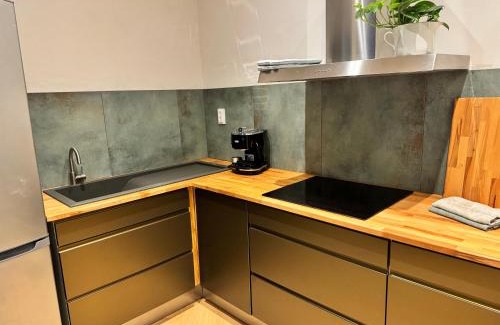 Vitkovice Apartamento | Apartmán u Vetešnictví