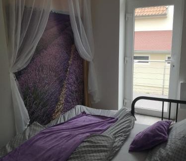 Zupanovice Apartamento | Apartmán U vody