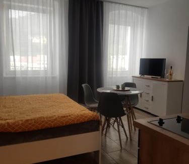 Jachymov Apartamento | Apartmán Uršula