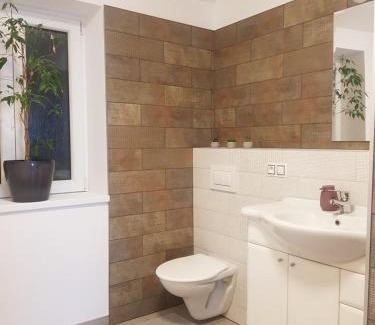 Jachymov Apartamento | Apartmán Uršula