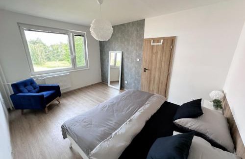 Hradec Kralove Apartamento | Apartmán v klidné části Hradce