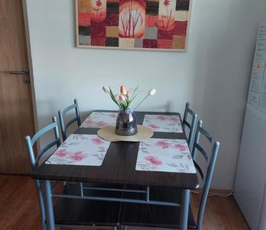 Sokolov Apartamento | Apartmán v podhůří Krušných hor