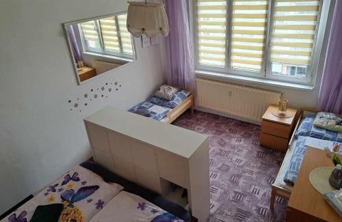 Sokolov Apartamento | Apartmán v podhůří Krušných hor