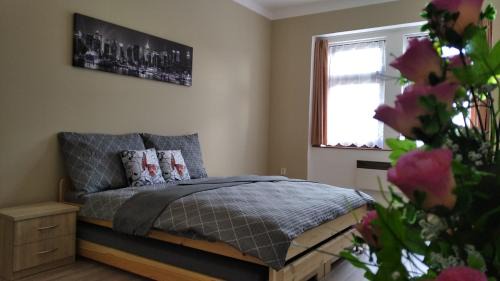 Ledec nad Sazavou Apartamento | Apartmány Ledeč