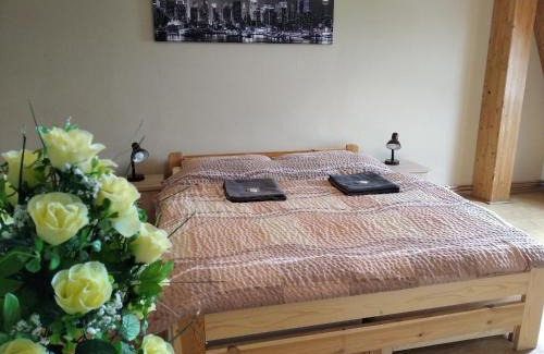 Ledec nad Sazavou Apartamento | Apartmány Ledeč
