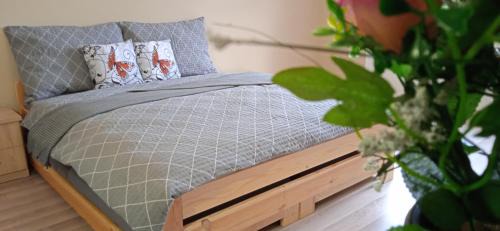 Ledec nad Sazavou Apartamento | Apartmány Ledeč