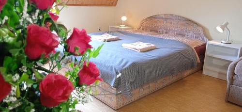 Ledec nad Sazavou Apartamento | Apartmány Ledeč