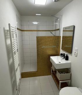 Jesenik Apartamento | Apartmány Mýtinka - Jeseníky