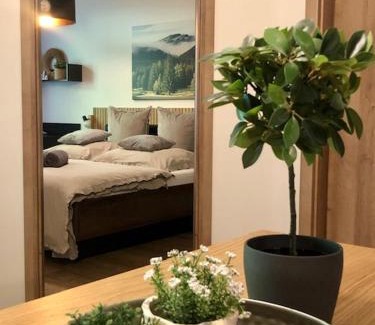 Tale Apartamento | Apartmány na Táloch 107 & 108 Chopok - Juh