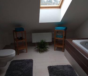 Bohutin Apartamento | apartmány pod lesem