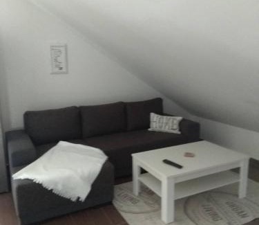 Bohutin Apartamento | apartmány pod lesem